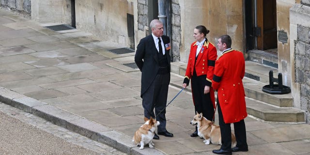 Prince Andrew stands with the queen's corgis, Muick and Sandy, outside Windsor Castle on Sept. 19, ahead of the committal service for Queen Elizabeth II.