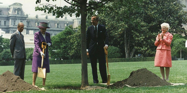 President George H.W. Bush and Queen Elizabeth II plant a tree at the White House, replacing a toppled one that was planted in honor of the coronation of King George VI. (George Bush Presidential Library and Museum/NARA)