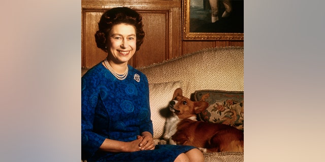 Queen Elizabeth II smiles radiantly during a picture-taking session in the salon at Sandringham House. Her pet dog looks up at her.