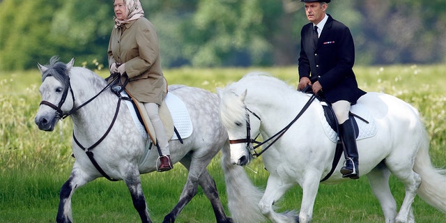Queen Elizabeth II, accompanied by her Stud Groom Terry Pendry, seen horse riding in the grounds of Windsor Castle on June 2, 2006 in Windsor, England.
