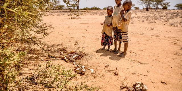 As World Vision's president and CEO, I've seen what happens when people of faith face hardship | Fox News As World Vision's president and CEO, I've seen what happens when people of faith face hardship | Fox News