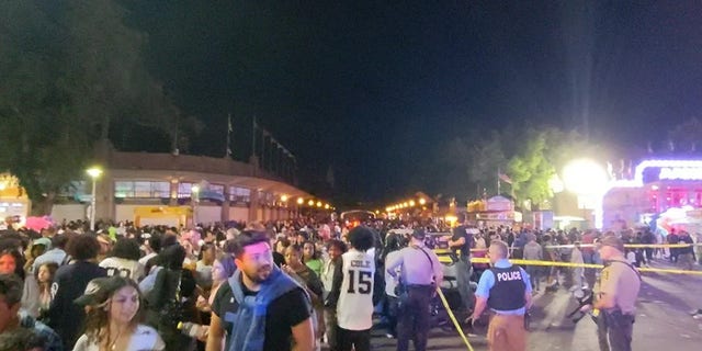 A brawl that broke out at the Minnesota State Fair on Saturday and the police response that followed led to a mass crowd panic and exodus, as well as an early closure of the fairgrounds.