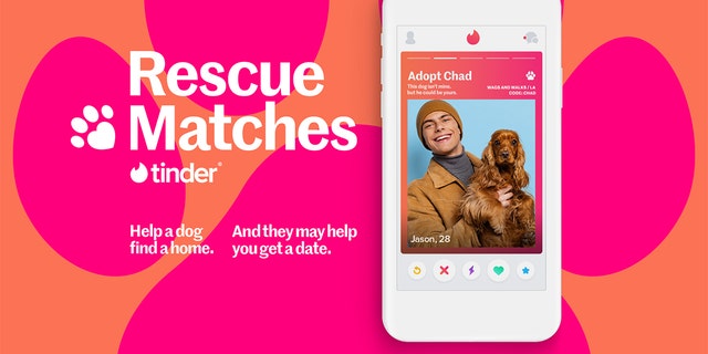 Tinder users can attach a photo of a dog to their profile in hopes of meeting a match — for both them and the dog. 