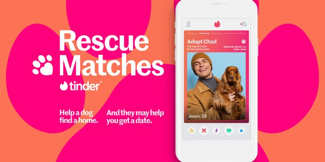 Tinder users can attach a photo of a dog to their profile in hopes of meeting a match — for both them and the dog.