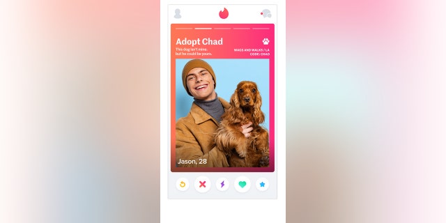 Tinder is taking the initiative to match rescue dogs with forever homes. 