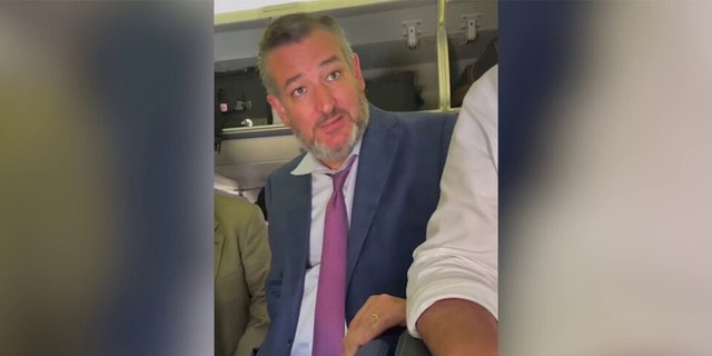 Texas Sen. Ted Cruz responded to a passenger who confronted him about his Second Amendment views while getting off an airplane.