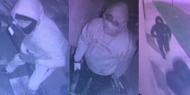 Officials say that two teenagers were caught on surveillance video taking 10 puppies from their kennels at the "Hug-A-Pup" pet store in Hammond, Indiana, on late Sunday night into early Monday morning.