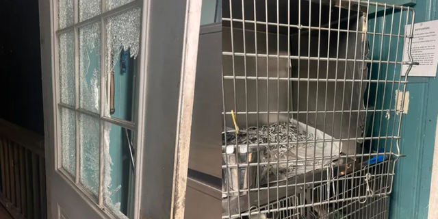 Three dogs were taken from PAWS Atlanta in DeKalb County during an early morning break-in on Friday — two puppies named Violet and Emilia and a toy Yorkie named Princeton.