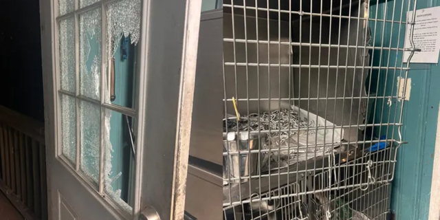 Three dogs were taken from PAWS Atlanta in DeKalb County during an early morning break-in on Friday — two puppies named Violet and Emilia and a toy Yorkie named Princeton.