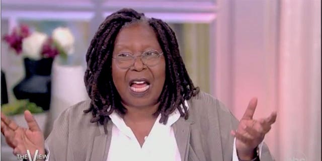 "The View" co-host Whoopi Goldberg regularly rails against pro-life conservatives on her ABC talk show. 