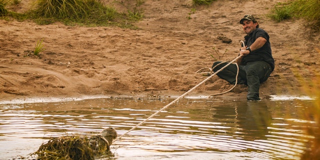 Matt Wright often gets compared to Steve Irwin because they're both Australian crocodile hunters.