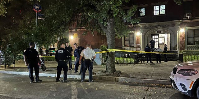 New York Girl, 17, Fatally Shot Outside Of Brooklyn Apartment; Suspects ...