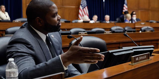 Rep. Byron Donalds cited reports that Hunter Biden helped a Chinese company buy a Congolese cobalt mine and noted that cobalt is need to produce electric vehicle batteries. (Chip Somodevilla/Getty Images)