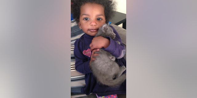 Whitley's daughter, Sienna - age one in this photo - cuddles Lily, the family cat.
