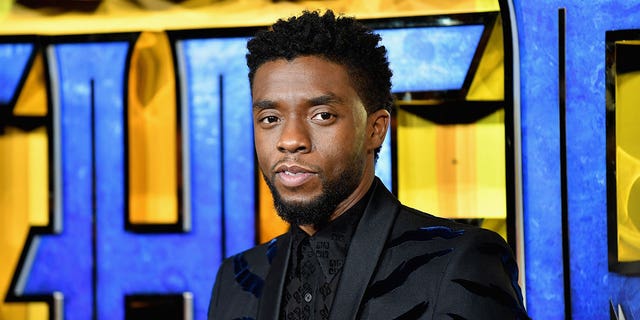 "Black Panther: Wakanda Forever" will hit theaters on November 11, 2022 and will honor the late Chadwick Boseman. 