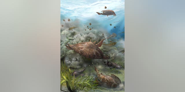 This illustration provided by Qiuyang Zheng in September 2022 depicts fauna from Chongqing Lagerstätte, where fossil fish, more than 400 million years old, which were found by researchers in southern China, announced in a series of studies published in the journal Nature on Wednesday, Sept. 28, 2022.