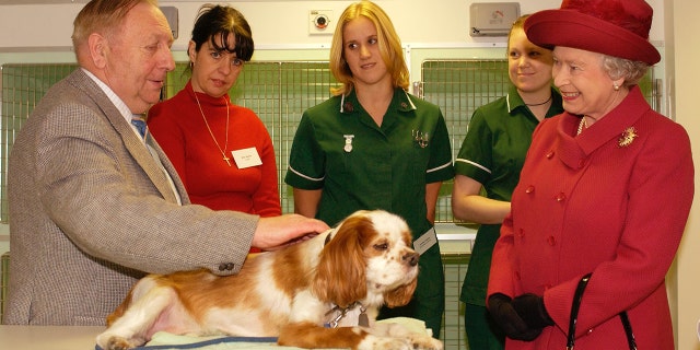 Queen Elizabeth II visits a Cavalier King Charles Spaniel in the hospital. 