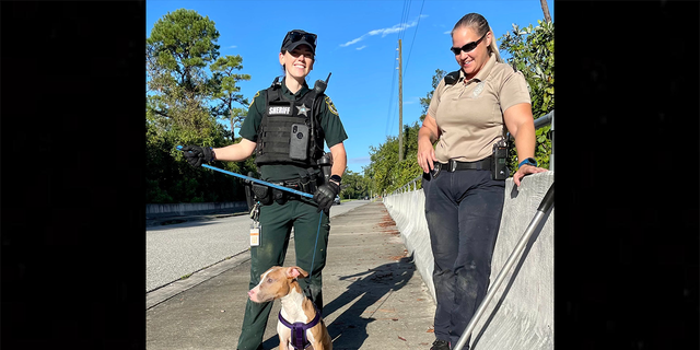The deputy was able to rescue the pooch after about 30 minutes of crawling through brush on her hands and knees and scaling a 15-foot wall.