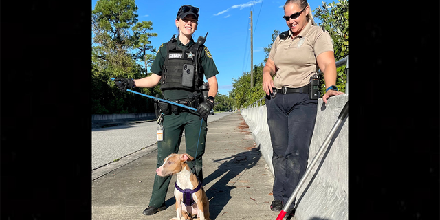 The deputy was able to rescue the pooch after about 30 minutes of crawling through brush on her hands and knees and scaling a 15-foot wall.