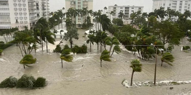The city of Naples, FL during Hurricane Ian on September 28, 2022. The streets are flooded and wind strongly gusts the trees. 