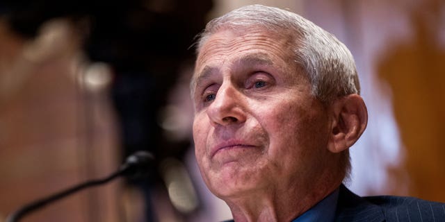 Dr. Anthony Fauci testifies during a Senate Appropriations subcommittee hearing on May 17, 2022, in Washington, D.C.