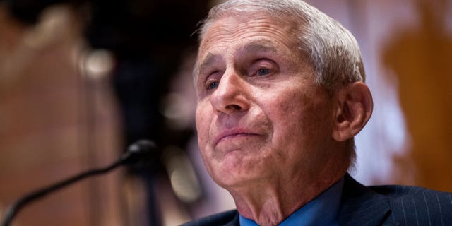 Dr. Anthony Fauci testifies during a Senate Appropriations subcommittee hearing on May 17, 2022, in Washington, D.C.