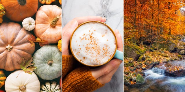Fall quiz! How well do you know facts about the fall season?
