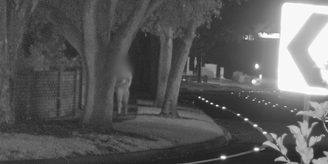 A 22-year-old woman was approached from behind by an unknown man in Seminole County on Sept. 19, 2022.