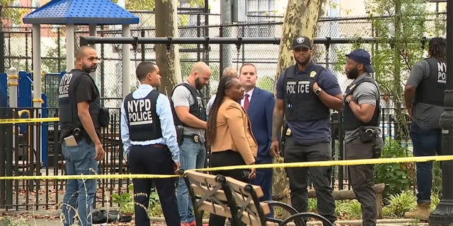 A 15-year-old boy has died after being shot in the stomach during a fight inside McLaughlin Park in Brooklyn on Wednesday afternoon.