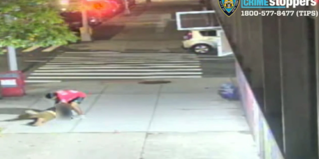 The New York Police Department (NYPD) is searching for the suspect who robbed an elderly man on Lexington Avenue and East 120th Street.