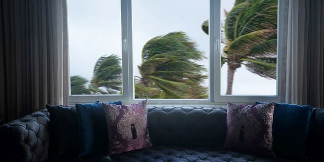 An indoor window view of palm trees getting pushed by strong tropical storm winds. The National Weather Service recommends staying away from windows during storms and hurricanes.