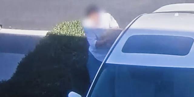 A man is seen reaching into a parked car at a California shopping center to take a dog. Irvine police later identified him as 38-year-old Earl Choi, of Fullerton.