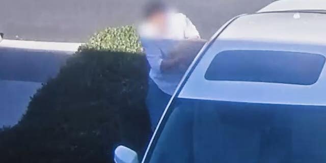 A man is seen reaching into a parked car at a California shopping center to take a dog. Irvine police later identified him as 38-year-old Earl Choi, of Fullerton.