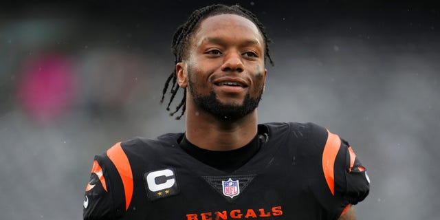 Bengals' Joe Mixon found not guilty of aggravated menacing charge 4 Joe Mixon smiling