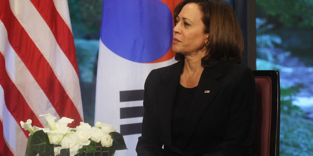 US Vice President Kamala Harris holds a bilateral meeting with South Korea's Prime Minister Han Duck-soo (not pictured) in Tokyo on September 27, 2022, ahead of the state funeral for the former Japanese prime minister Shinzo Abe. (Photo by LEAH MILLIS / POOL / AFP) (Photo by LEAH MILLIS/POOL/AFP via Getty Images)