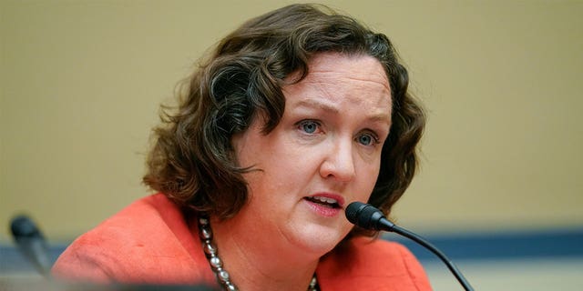 Pictured: Rep. Katie Porter, D-Calif., speaks on gun violence during a House Committee on Oversight and Reform hearing on Capitol Hill in Washington on June 8, 2022.
