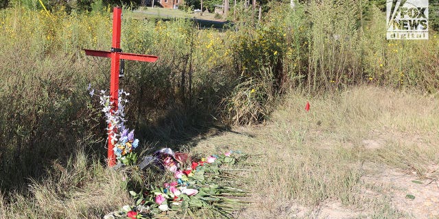 The site where Devin Clark's and Lyric Woods' bodies were found in Mebane, North Carolina.