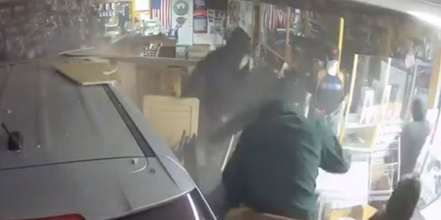 Robbers seen at CC Coins Jewelry and Loan in Michigan stealing guns from the shop.