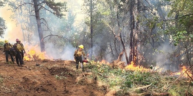 Fire officials said the Mosquito Fire was 21% contained as of Sunday after the blaze burned more than 73,000 acres and destroyed at least 78 homes and other buildings.