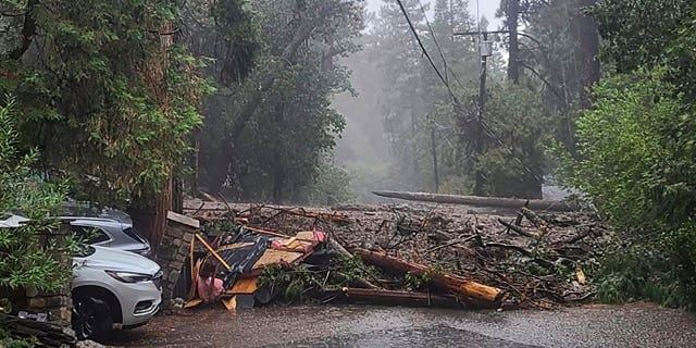 Pictured: A fallen tree and other debris from a mudslide blocks a road in Forest Falls in San Bernardino County, California, on Sept. 12, 2022.
