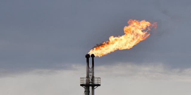 OPEC recently announced its decision to dramatically cut its oil production.