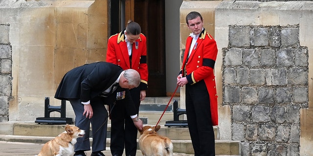Prince Andrew and Sarah Ferguson now care for the late Queen Elizabeth's dogs.
