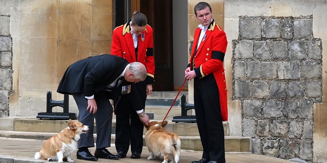 Prince Andrew and Sarah Ferguson now care for the late Queen Elizabeth's dogs.