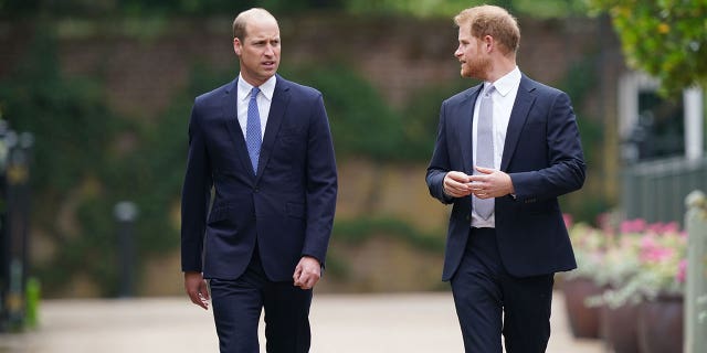 Prince William and Prince Harry