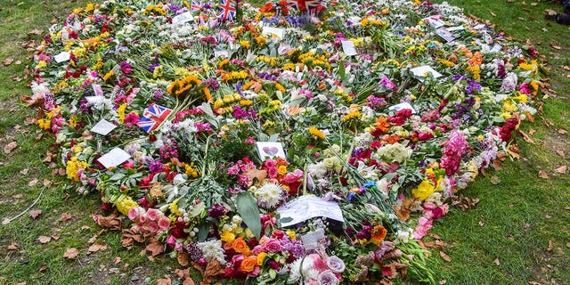 แถลงการณ์บนเว็บไซต์ Royal Parks เรียกร้องให้ผู้เยี่ยมชมจำกัดสิ่งของที่เหลือสำหรับพระราชินีให้เป็นเครื่องบรรณาการดอกไม้ 