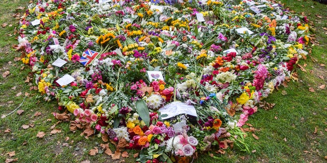 แถลงการณ์บนเว็บไซต์ Royal Parks เรียกร้องให้ผู้เยี่ยมชมจำกัดสิ่งของที่เหลือสำหรับพระราชินีให้เป็นเครื่องบรรณาการดอกไม้