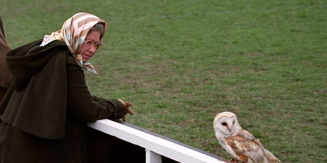 Britain's Queen Elizabeth II keeps an eye out for a barn owl that landed next to her as she watched a bird of prey display during a visit to the Royal Windsor Horse Show.