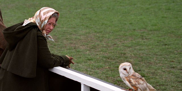 Britain's Queen Elizabeth II saw birds of prey in flight during a visit to the Royal Windsor Horse Show and keeps a close eye on a barn owl that has landed near her.