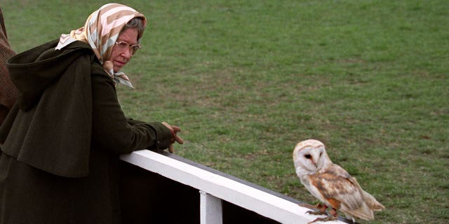 Britain's Queen Elizabeth II saw birds of prey in flight during a visit to the Royal Windsor Horse Show and keeps a close eye on a barn owl that has landed near her.