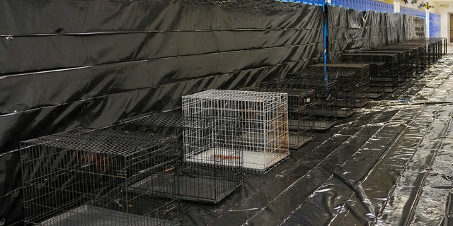 Empty pet cages are photographed just before Hurricane Ian hit the state of Florida this week.